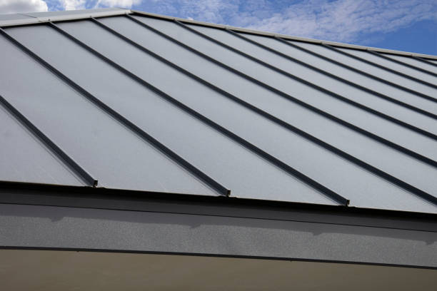 Best Sheet Metal Roofing  in Mont Clare, PA