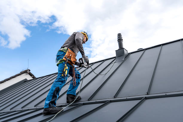 Best Skylight Installation and Repair  in Mont Clare, PA